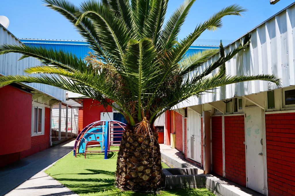 sello educación medioambiental