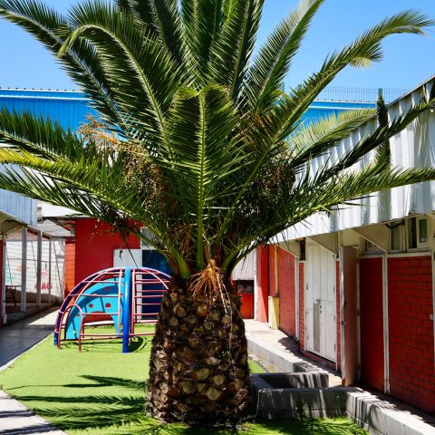 sello educación medioambiental