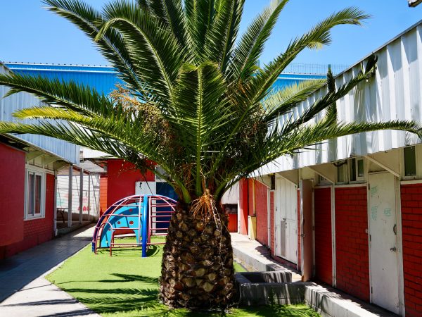 sello educación medioambiental