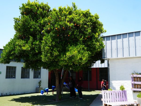 Espacios y dependencias de la escuela